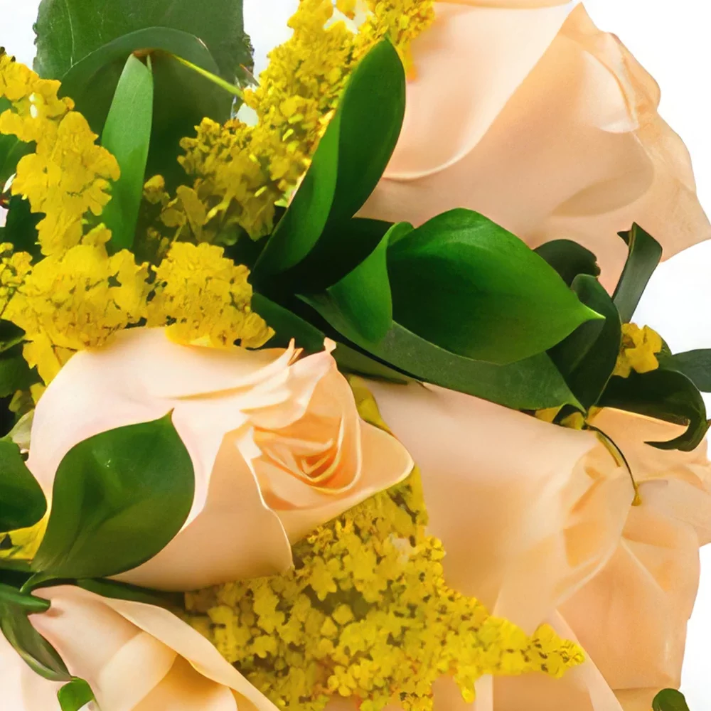 Σαλβαντόρ λουλούδια- Μπουκέτο από 8 τριαντάφυλλα σαμπάνιας και σοκ Μπουκέτο/ρύθμιση λουλουδιών