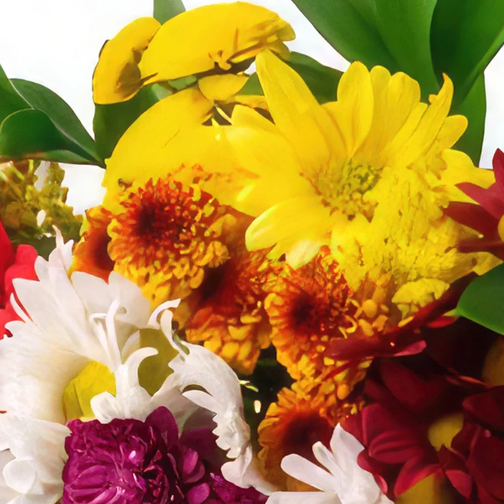 Белу-Оризонти цветы- Большой букет красочных и шоколадных полевых  Цветочный букет/композиция