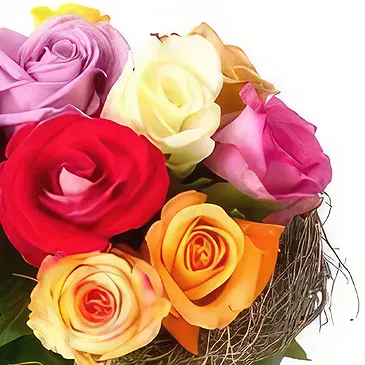 Bir Anniba flori- Colorat Buchet/aranjament floral