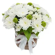 Ajtos Online Blumenhändler - Chrysanthemen-Glückseligkeit Blumenstrauß