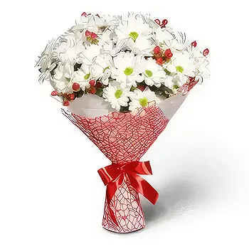 Kravino flowers  -  Blooming marvelous Flower Delivery