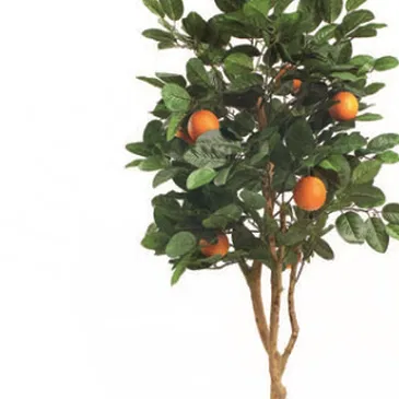 Vignone flowers  -  Orange Plant Flower Bouquet/Arrangement