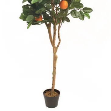 Vignone flowers  -  Orange Plant Flower Bouquet/Arrangement