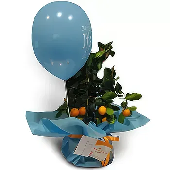 Nea Krya Vrysi flowers  -  New Baby Flower Delivery