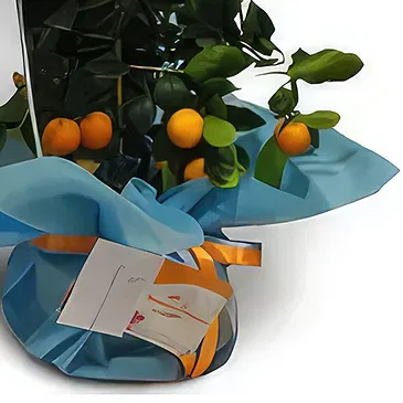 Nea Krya Vrysi flowers  -  New Baby Flower Bouquet/Arrangement