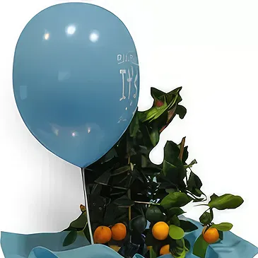 Nea Krya Vrysi flowers  -  New Baby Flower Bouquet/Arrangement
