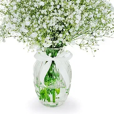 flores de Amã- Bom humor Bouquet/arranjo de flor