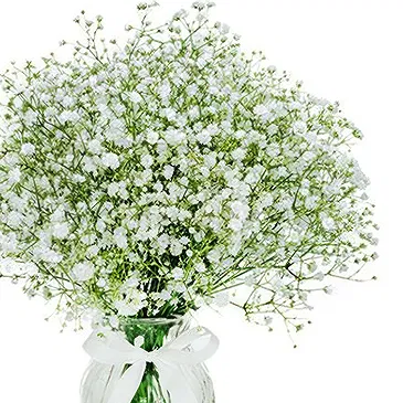 flores de Amã- Bom humor Bouquet/arranjo de flor