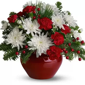 Ibiza flowers  -  Scarlet Beauty Flower Delivery