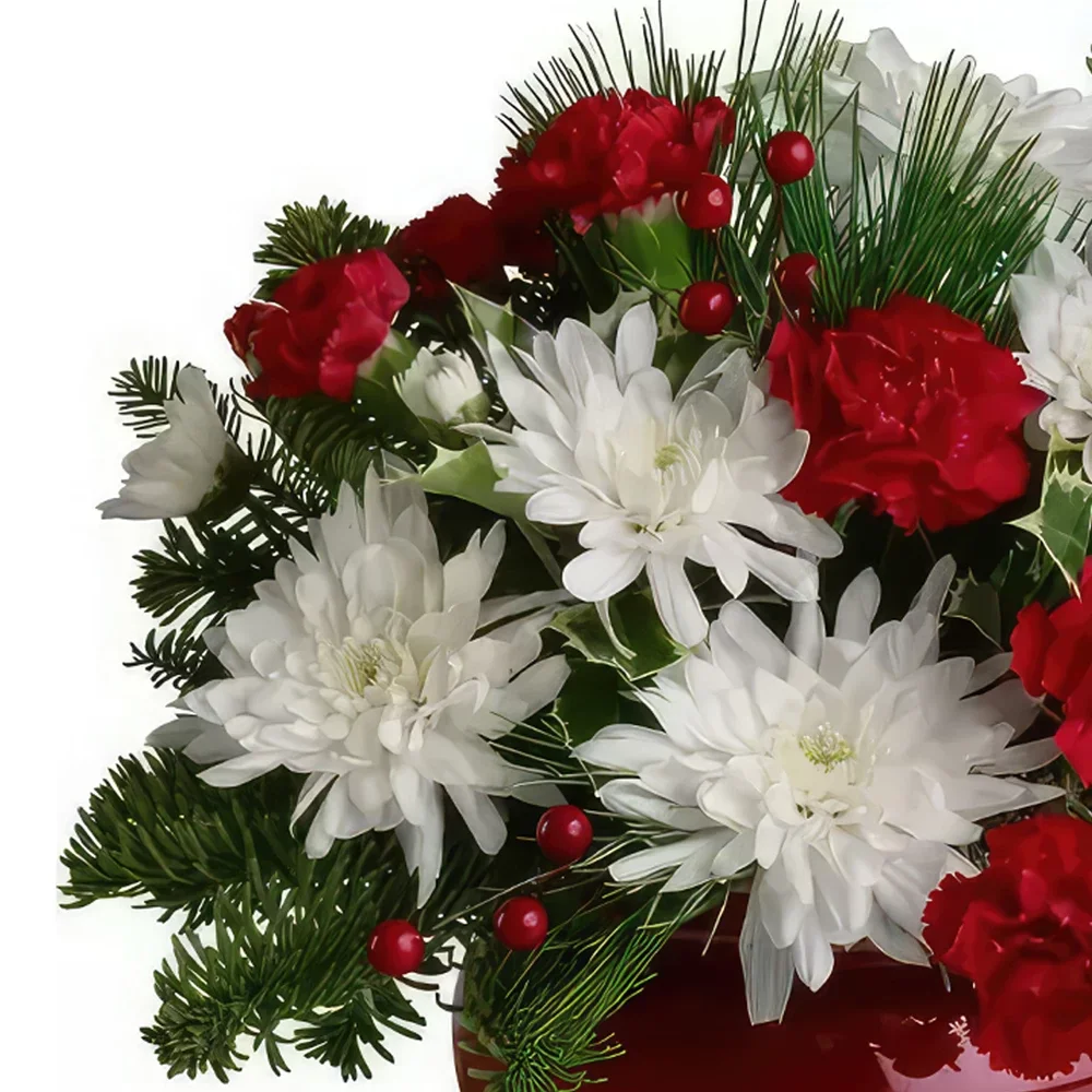 Ибиса цветя- Червената красавица Букет/договореност цвете