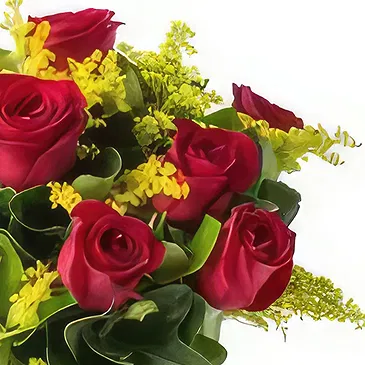 flores de Uberlândia- Arranjo de 8 Rosas Vermelhas em Vaso Bouquet/arranjo de flor