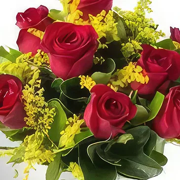 flores de Uberlândia- Arranjo de 8 Rosas Vermelhas em Vaso Bouquet/arranjo de flor