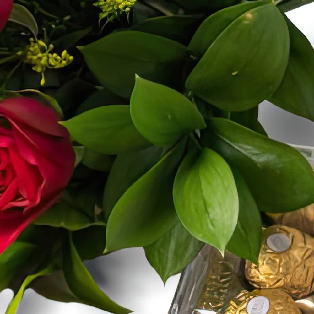 Σαλβαντόρ λουλούδια- Μπουκέτο από 6 κόκκινα τριαντάφυλλα και σοκολ Μπουκέτο/ρύθμιση λουλουδιών