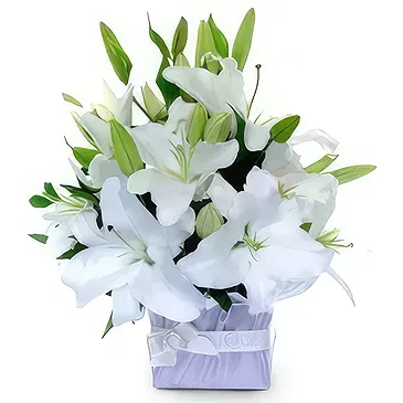 Cung Kiệm blomster- Stykke av sky Blomsterarrangementer bukett