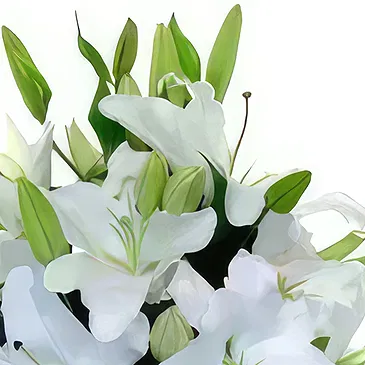 Cung Kiệm blomster- Stykke av sky Blomsterarrangementer bukett