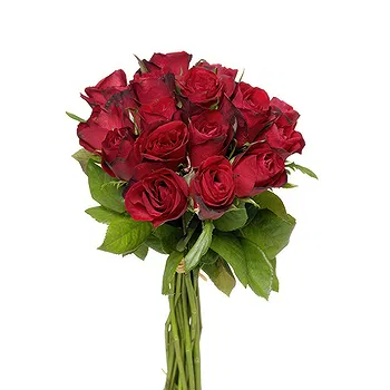 San Marino flowers  -  Bunch of red roses Flower Delivery