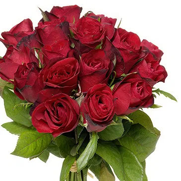 Italy flowers  -  Bunch of red roses Flower Bouquet/Arrangement