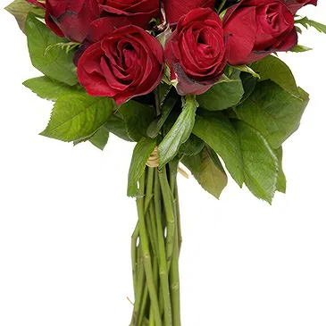 Italy flowers  -  Bunch of red roses Flower Bouquet/Arrangement