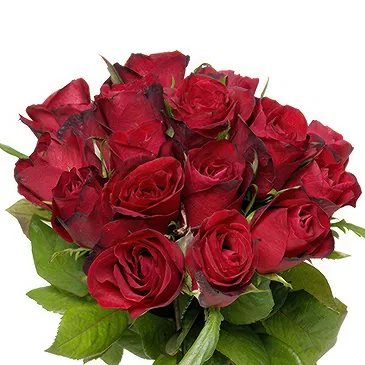 Italy flowers  -  Bunch of red roses Flower Bouquet/Arrangement