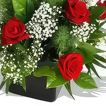 Macuilacatl Chico flowers  -  Mon cherie Flower Bouquet/Arrangement