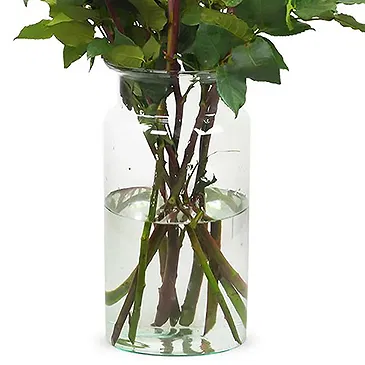 Amsterdam-Zuidoost flowers  -  10 red roses | Grower Flower Bouquet/Arrangement