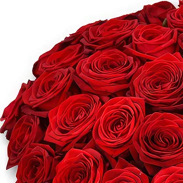 fleuriste fleurs de Ville internet de Dubaï- Bouquet de roses rouges classiques Bouquet/Arrangement floral
