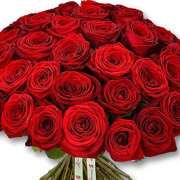 fleuriste fleurs de Ville internet de Dubaï- Bouquet de roses rouges classiques Bouquet/Arrangement floral