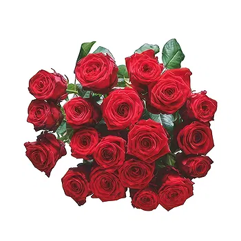 Denmark flowers  -  Tender Wildfield  Flower Delivery