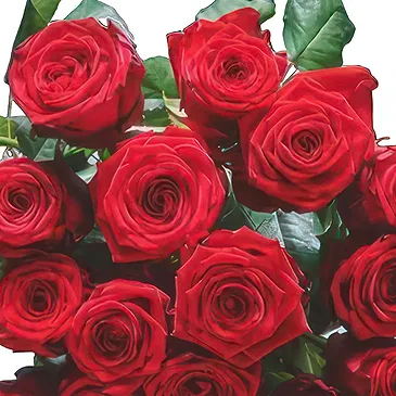 Dänemark Blumen Florist- Zartes Wildfield Bouquet/Blumenschmuck