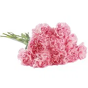 Borec Online Blumenhändler - Klassische Sympathie-Geste Blumenstrauß