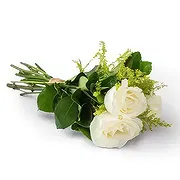 Brasilien Online Blumenhändler - Bouquet von 3 weißen Rosen Blumenstrauß