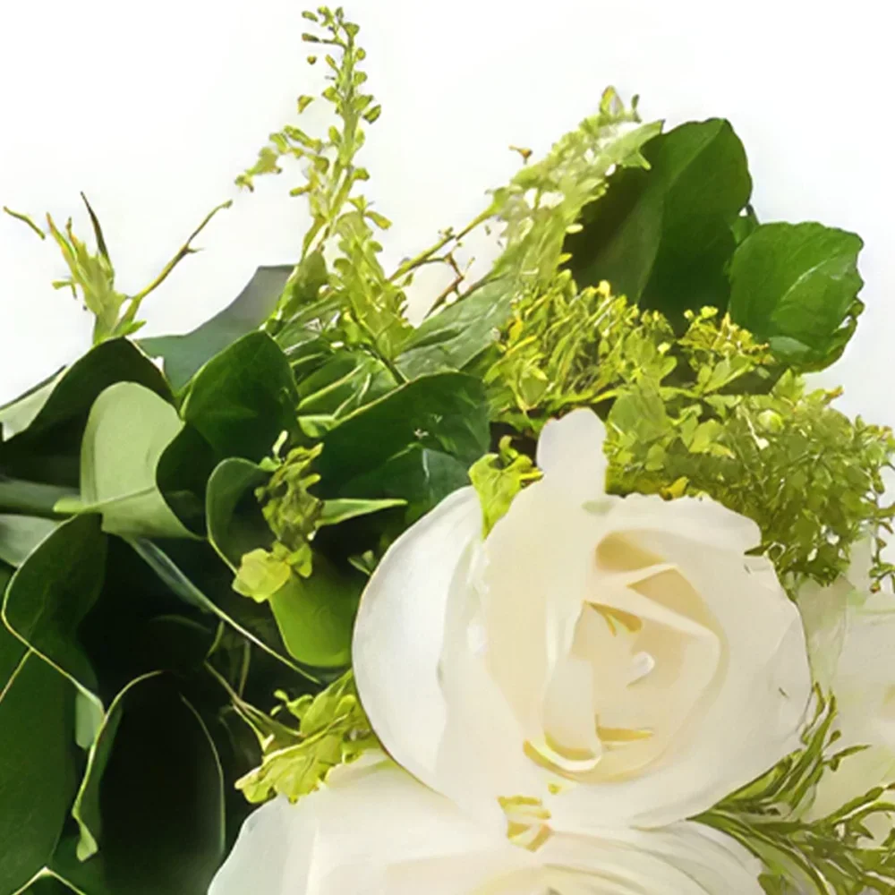 Σαλβαντόρ λουλούδια- Μπουκέτο από 3 λευκά τριαντάφυλλα Μπουκέτο/ρύθμιση λουλουδιών