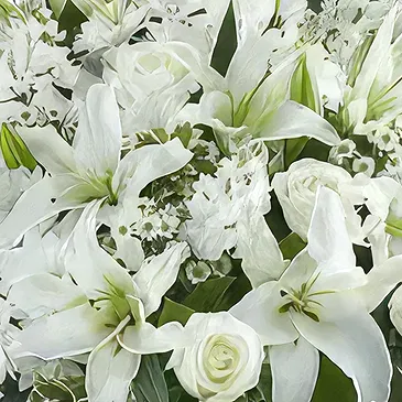 Garhoud flowers  -  Classic White Flower Vase Flower Bouquet/Arrangement