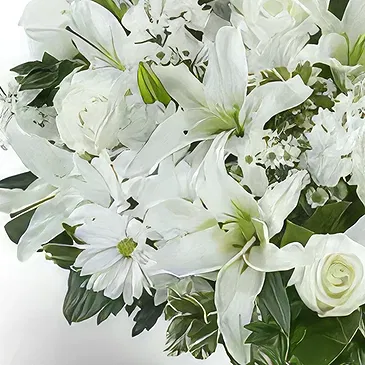 Garhoud flowers  -  Classic White Flower Vase Flower Bouquet/Arrangement
