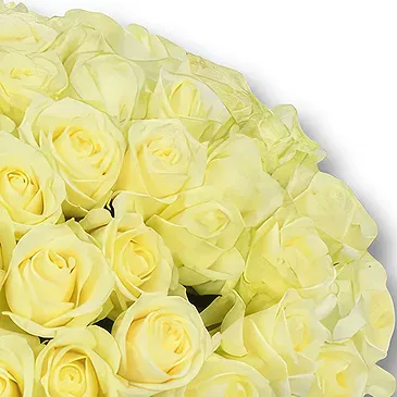 An-Najadah blomster- Klassisk hvite rosebukett Blomsterarrangementer bukett