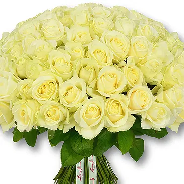 An-Najadah blomster- Klassisk hvite rosebukett Blomsterarrangementer bukett