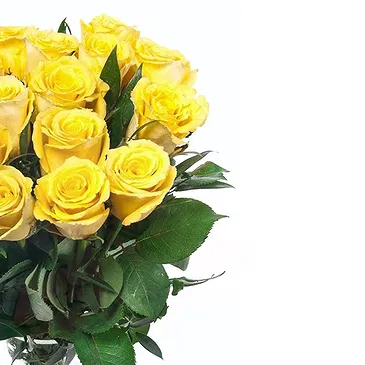 Italy flowers  -  Yellow Roses Bouquet Flower Bouquet/Arrangement