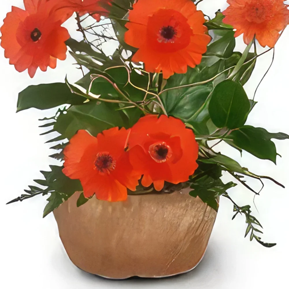 Krakau bloemen bloemist- Oranje combinatie Boeket/bloemstuk