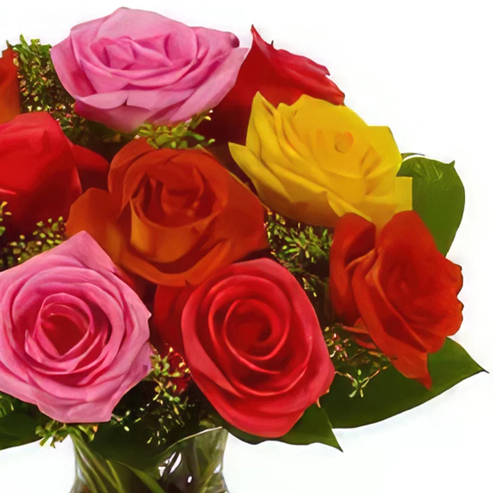 Torino blomster- Colour Burst Blomsterarrangementer bukett