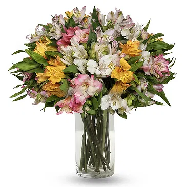 Greece flowers  -  Multicolored Alstroemeria Bouquet Flower Bouquet/Arrangement