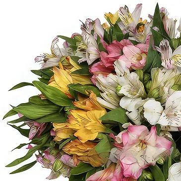 Greece flowers  -  Multicolored Alstroemeria Bouquet Flower Bouquet/Arrangement