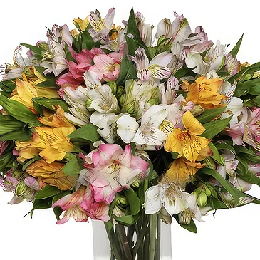 Greece flowers  -  Multicolored Alstroemeria Bouquet Flower Bouquet/Arrangement