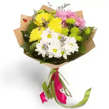 Kravino flowers  -  A Colorful Summer Flower Delivery