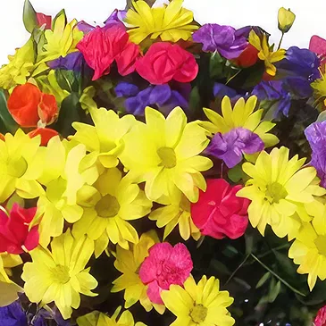 Malbork flowers  -  wishes Flower Bouquet/Arrangement