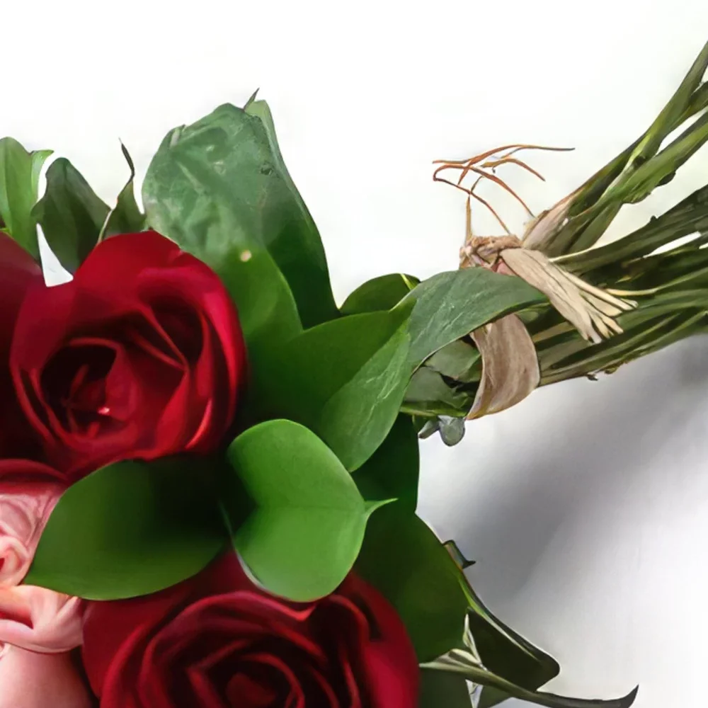 Belém kvety- Kytica 15-tich dvojfarebných ruží Aranžovanie kytice
