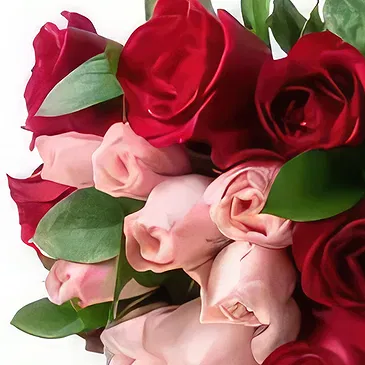 Santa Maria flowers  -  Bouquet of 15 two-color roses Flower Bouquet/Arrangement