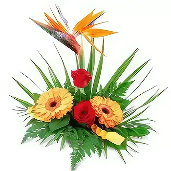 Kravino flowers  -  Sincerity Flower Delivery