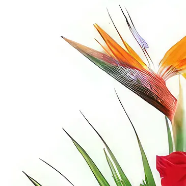 fleuriste fleurs de Ajtos- La sincérité Bouquet/Arrangement floral