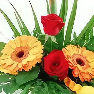 fleuriste fleurs de Ajtos- La sincérité Bouquet/Arrangement floral