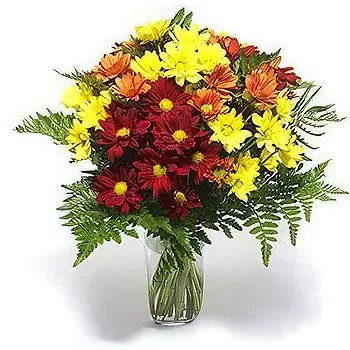Serbia flowers  -  Fresh Colors Flower Delivery